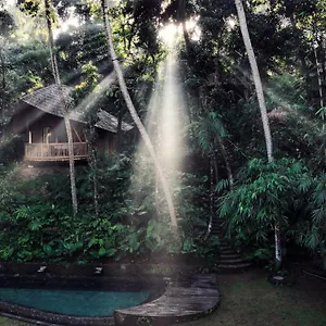 Bamboo Turtles Lodge